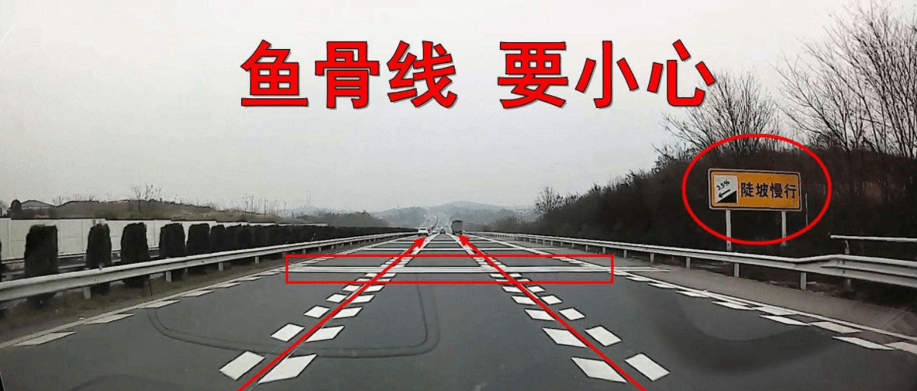 高速又出新规定鱼骨线到底什么意思车主一不小心就被扣9分