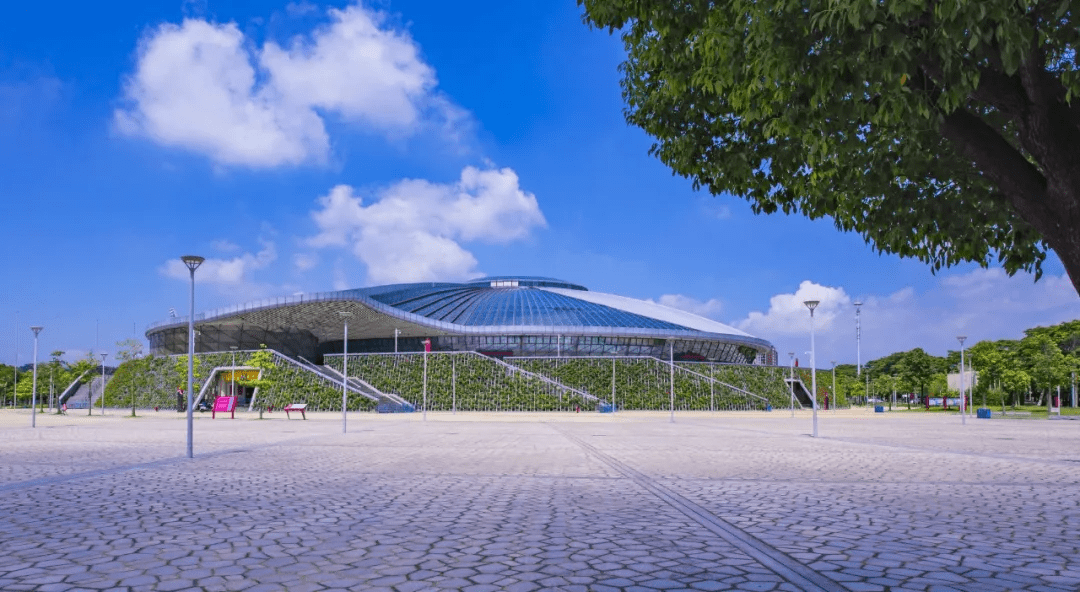 孙一民作品:莞市长安镇体育公园体育馆