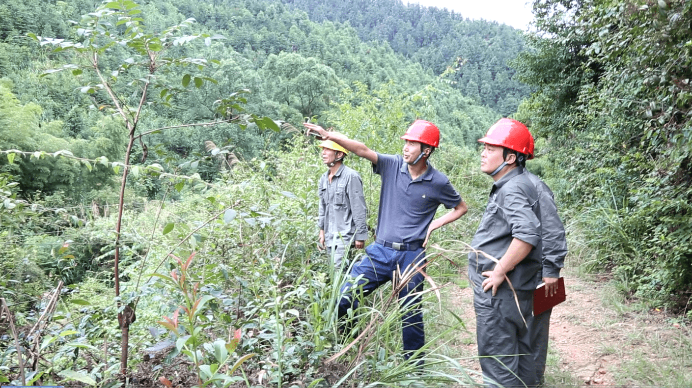 周险峰深入基层督查线路清障工作