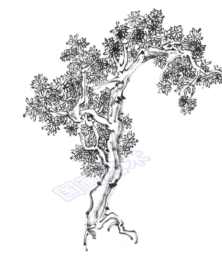 图文教程:山水树法之丛树,中远景树的画法