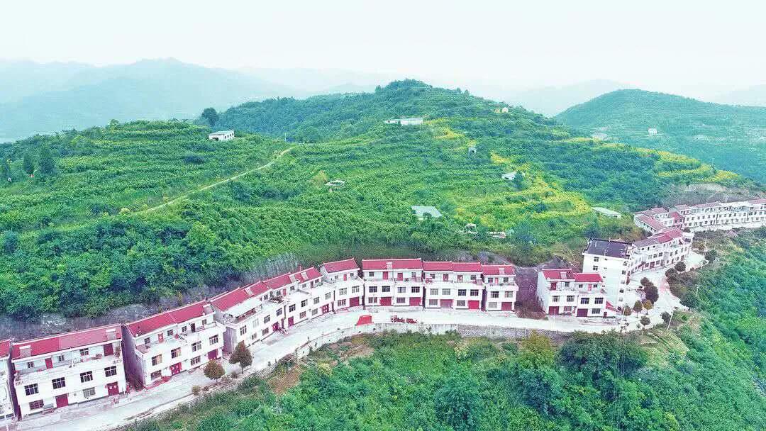 一个镇党委书记眼里的早阳巨变