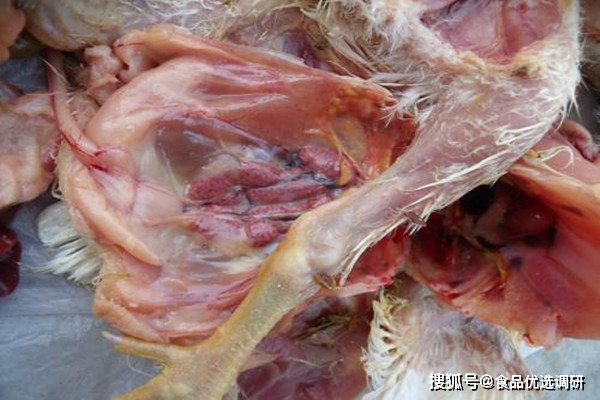 北京召回2批次雞肉,檢出大腸菌群不合格