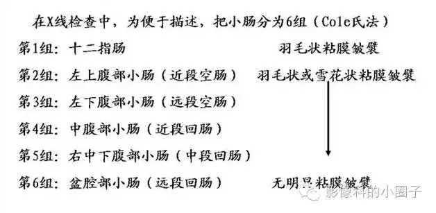 小肠影像解剖及分组