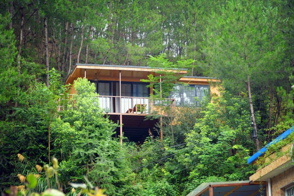 村民在树林中做别墅房子建悬空自称世外桃源