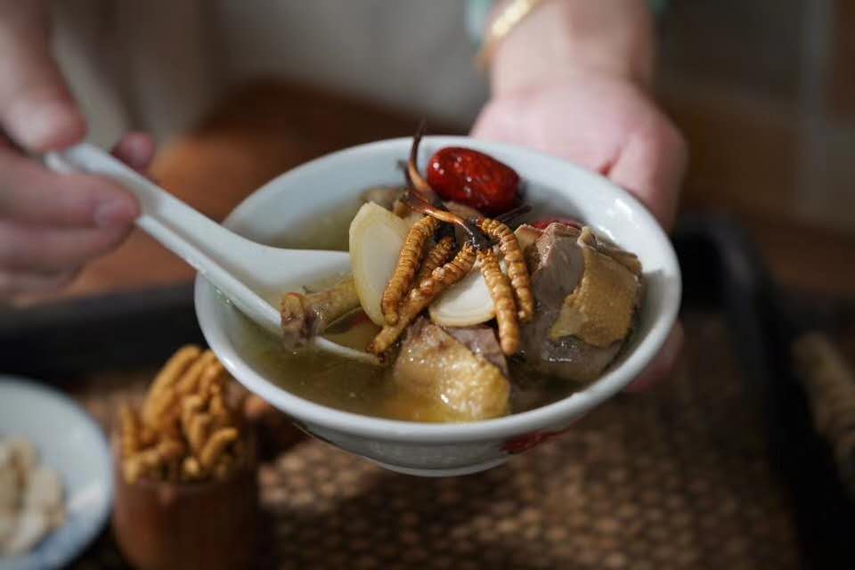冬虫夏草炖肉煲汤要注意时间,否则功效全无!_手机搜狐网