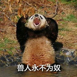 一见到皮肤好的人就会忍不住上前问护肤心得.2