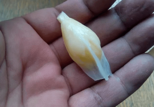 餐桌上扔掉的垃圾，在她們手里卻變成了寶！