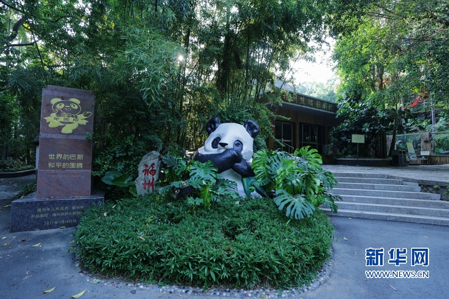 这是在福州熊猫世界拍摄到的"巴斯和平图腾"碑文和"巴斯"泥塑,台阶不