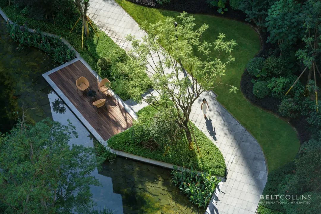 宛在水中央成都青秀未遮山