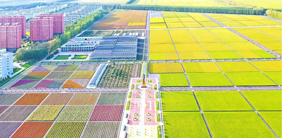 坐落在七星农场的"建三江国家农业科技园区".