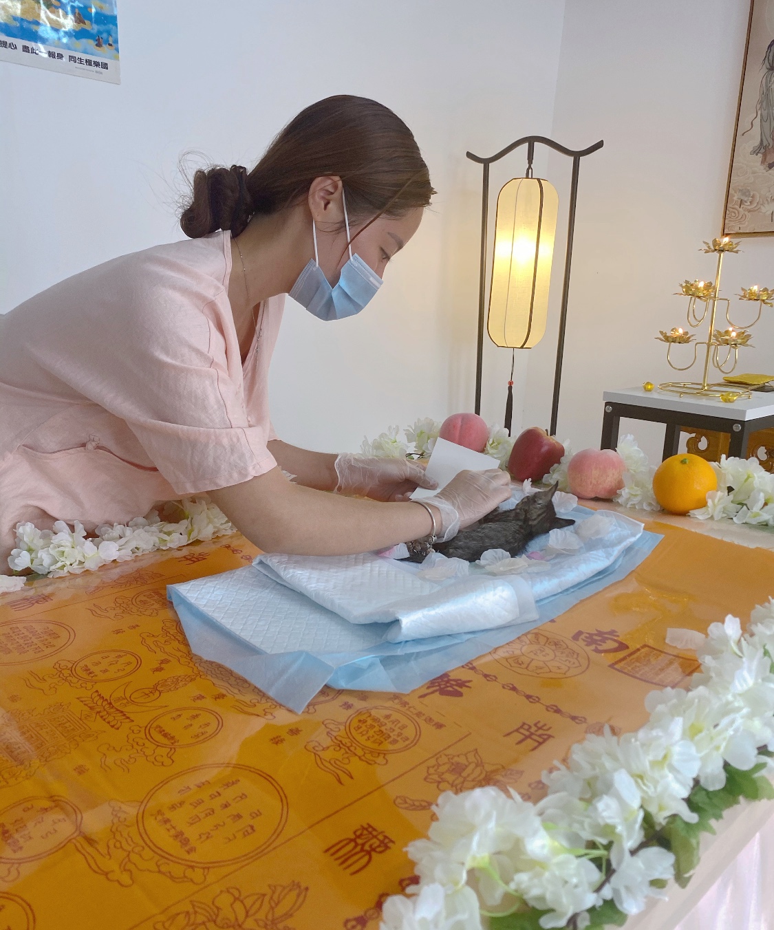 而宠物殡葬并不单纯是对爱宠的超度,更重要的是对主人心灵的关怀.