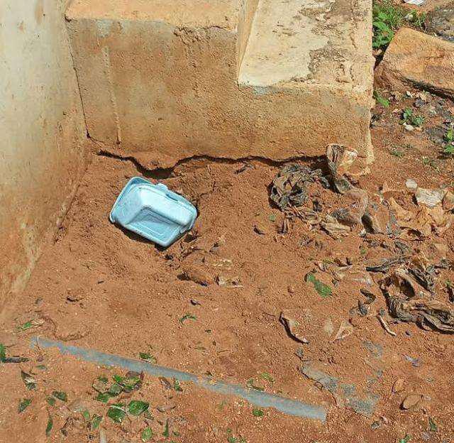 原创男子看见俩女子挖坑以为在种植物,等她们走后发现埋的是个婴儿