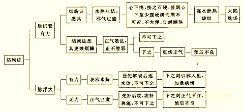 "伤寒六七日,结胸热实,脉沉而紧,心下痛,按之石硬者,大陷胸汤主之