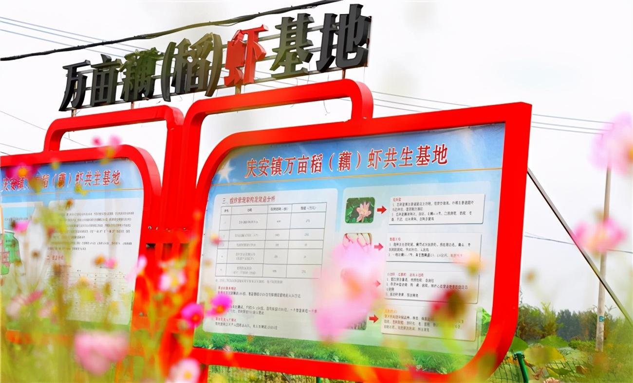 近年来,在庆安镇党委,政府的精心指导和部署安排下,杜巷社区两委班子