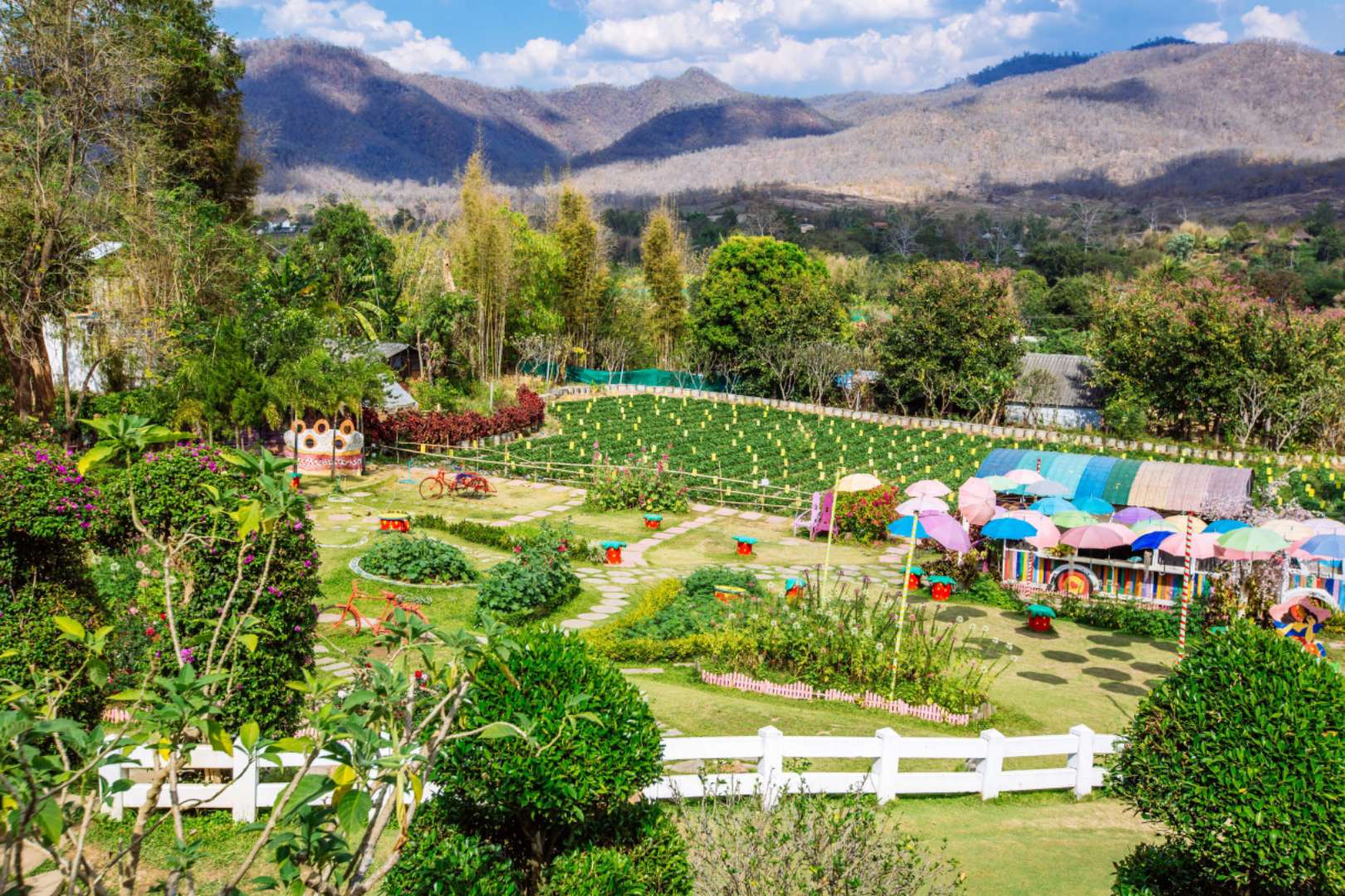 泰国的小清新拜县草莓园