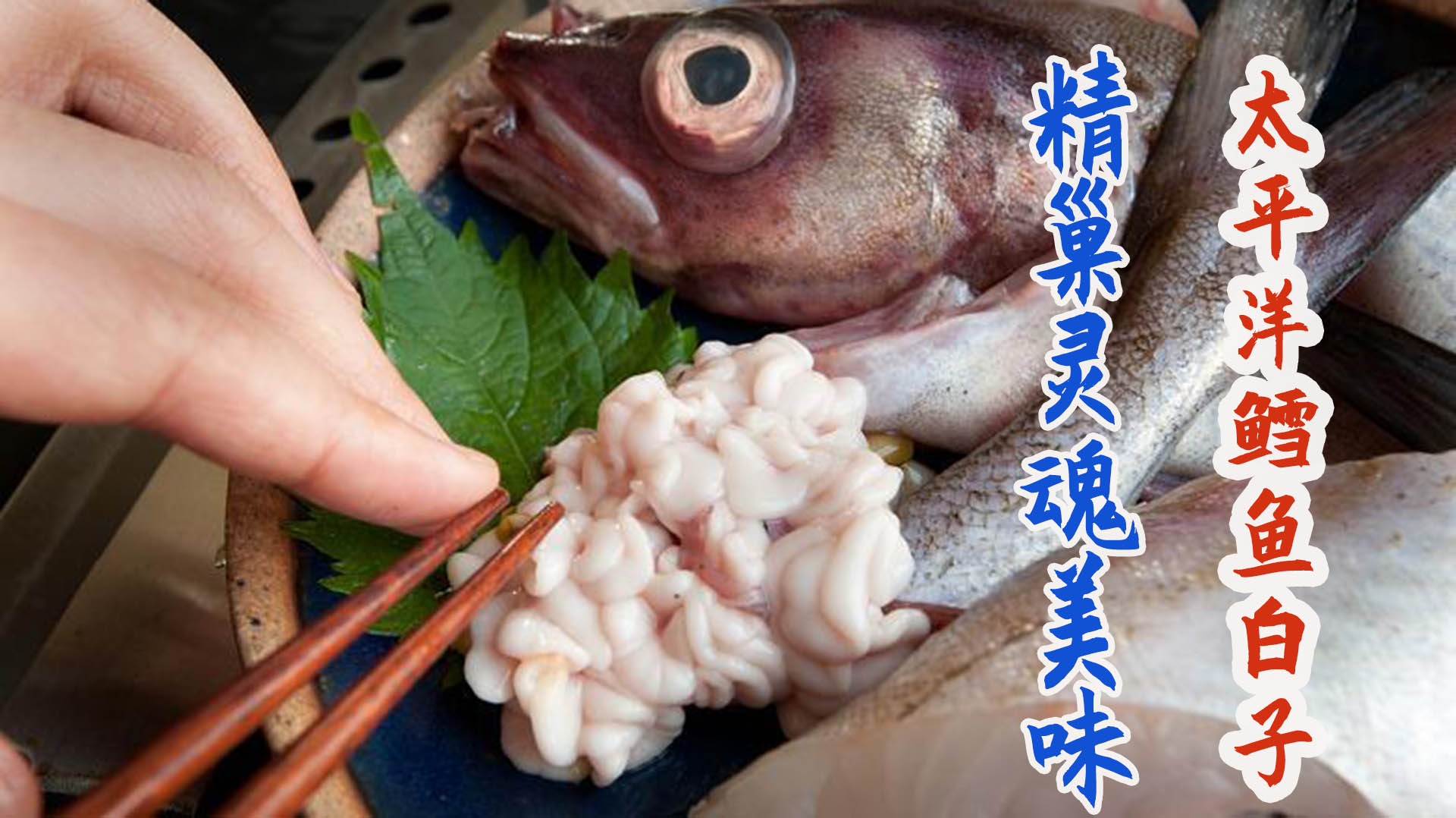 日本厨师分割太平洋鳕鱼取白子焯水裹粉油炸外酥里嫩