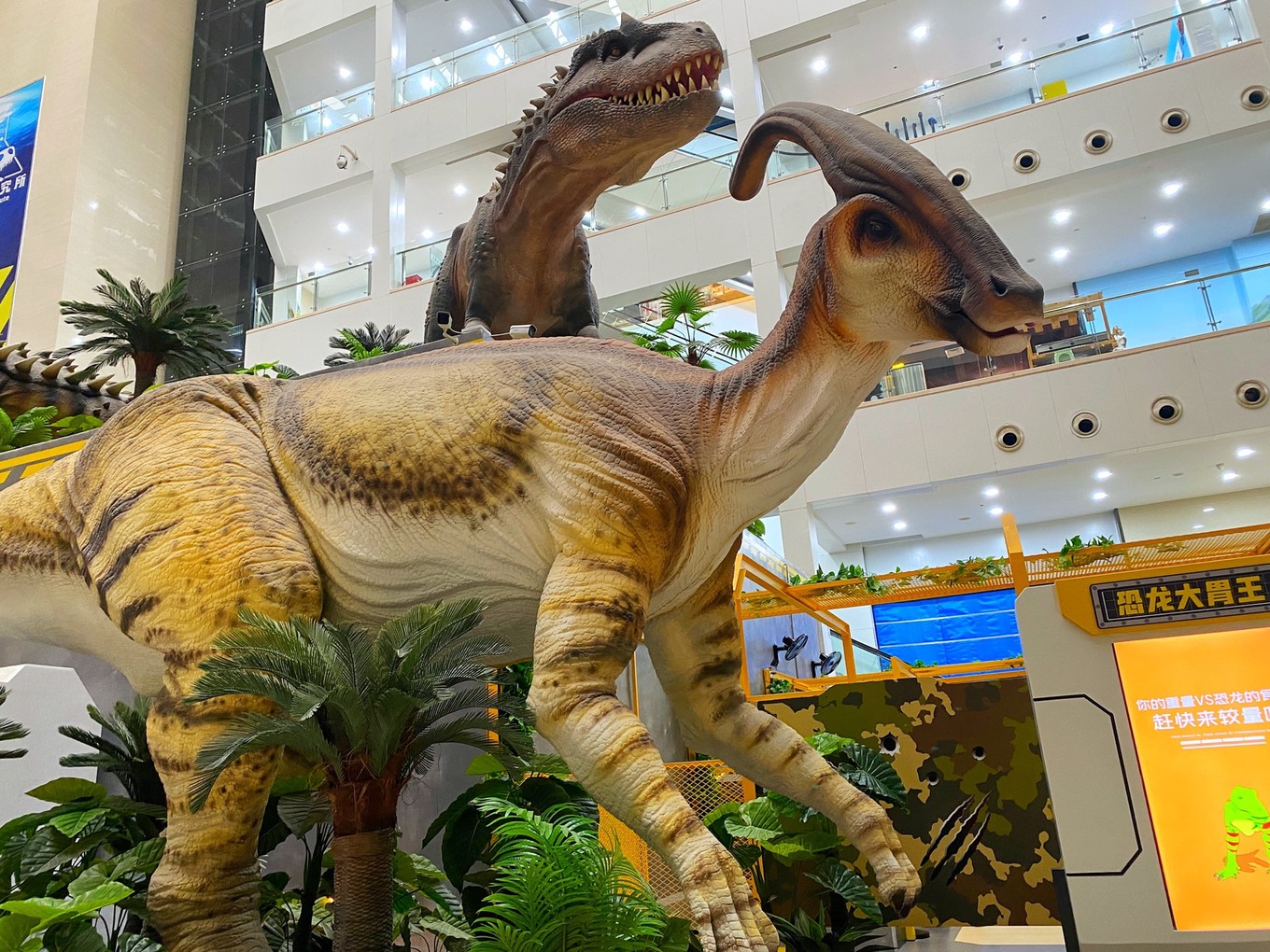 嗨翻大梦探索乐园,深圳亲子游绝佳好去处!_恐龙