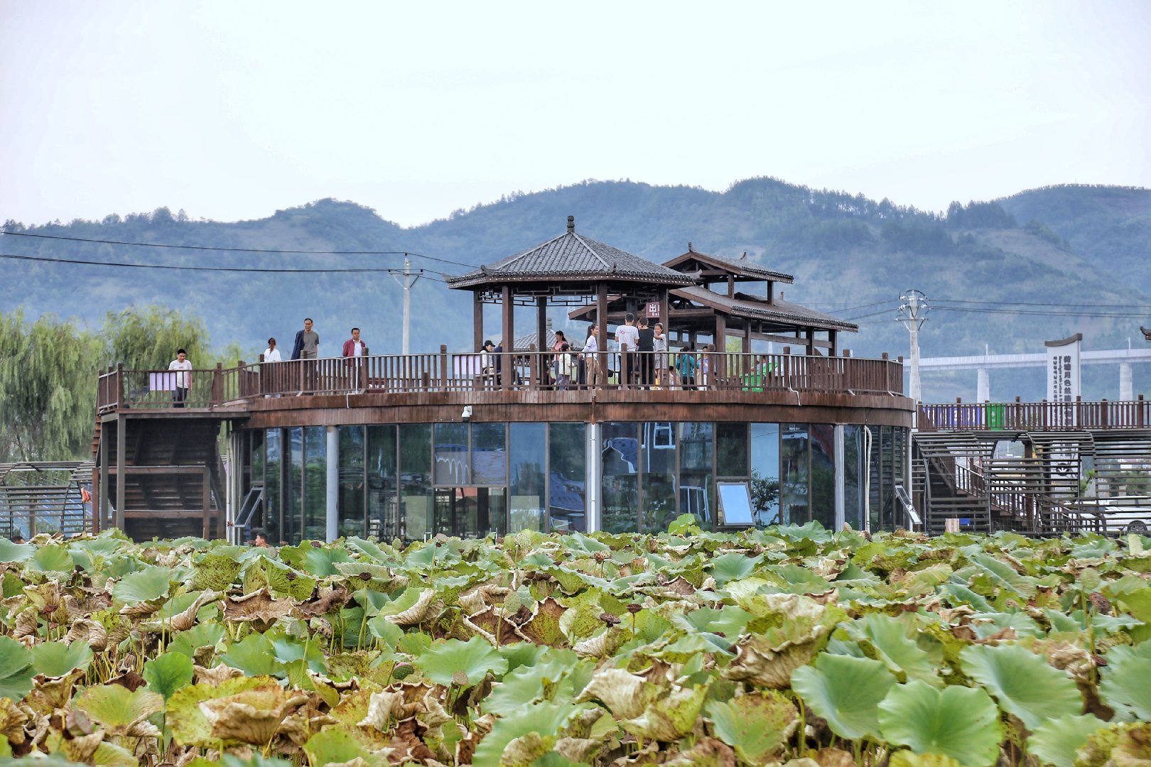 石泉县沧海桑田61荷塘月色旅游村29日隆重开园迎客