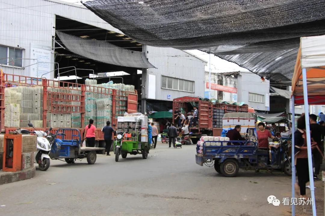 让我再看你一眼,南环桥批发市场!