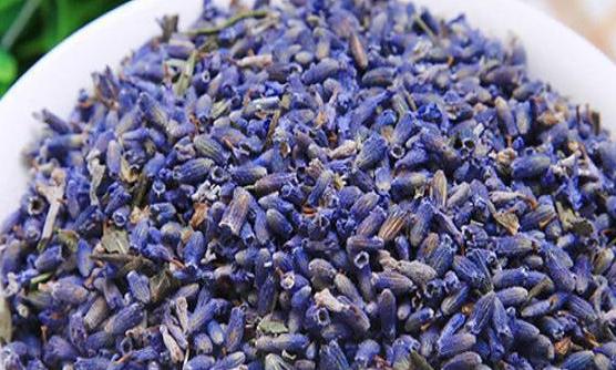 薰衣草不仅是一种花卉,还是一种功效多样的中药,被称为"芳香药草","