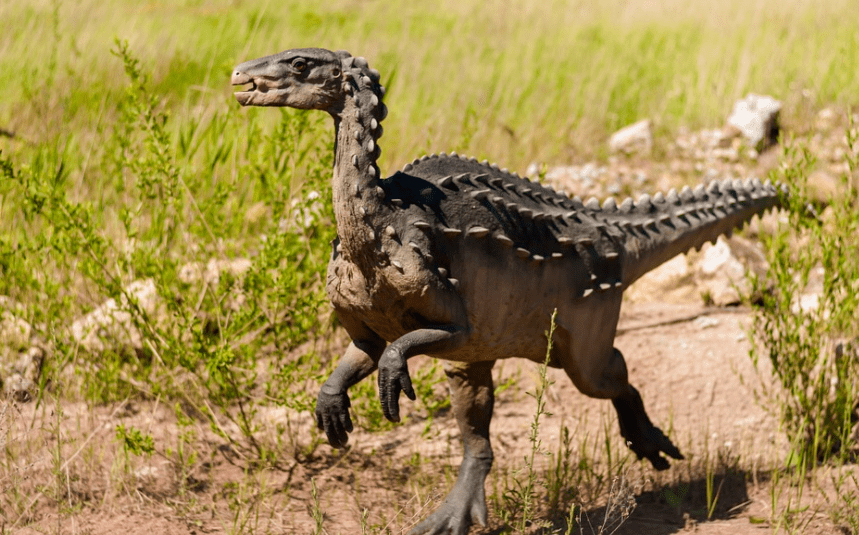 环境,了解历史的意义在于以史为鉴,让我们活好今天,与其想着复活恐龙