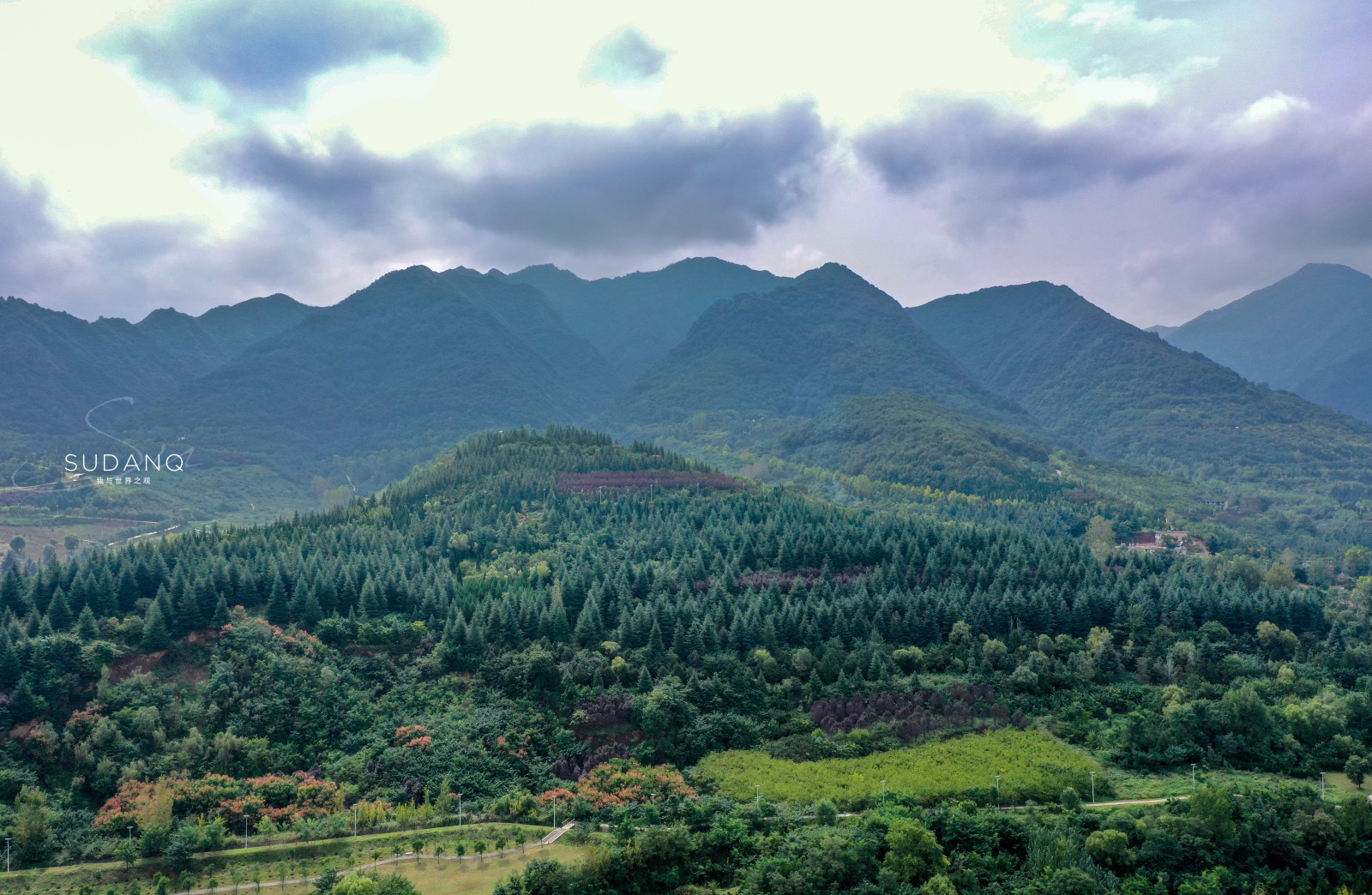 秦岭为何被尊为"中华龙脉":走进世界最大植物园,大自然之敬畏