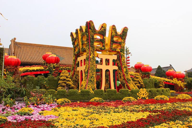 "开封菊花花会"一直不温不火,游客:风头全被"洛阳牡丹"抢走了