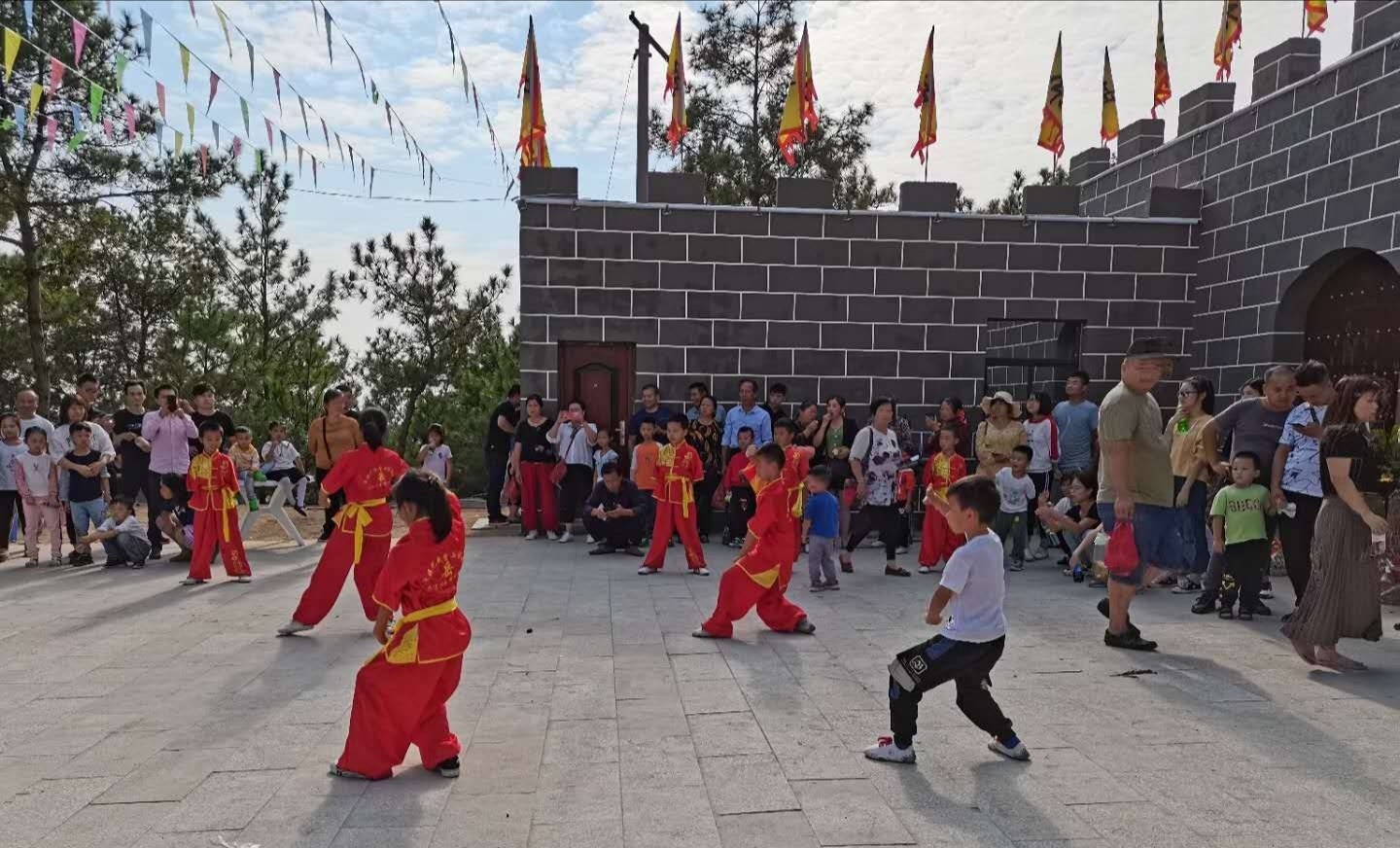 湖北黄梅养马岭:岳家拳武术操展演精彩亮相抗金城_手机搜狐网