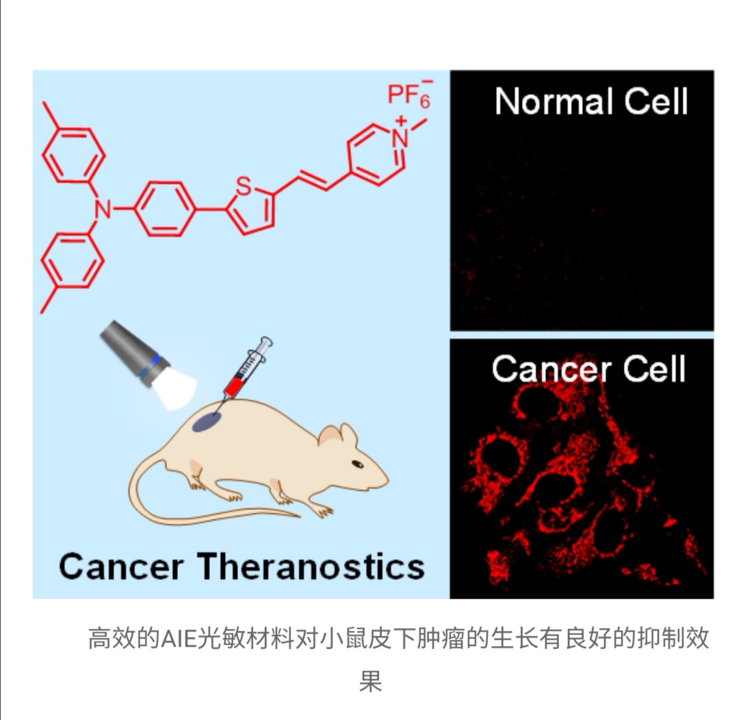 AIE光敏材料在光热方面的应用有哪些_分子_聚集态_活性氧