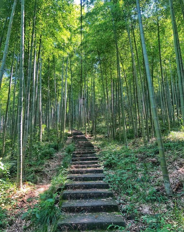 在浙江還有一個城市非常美麗,它也許就是夾在蘇杭之間的那一個城市,它