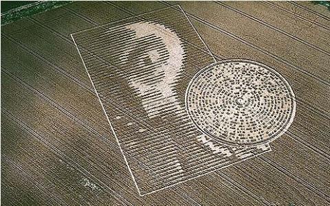 麦田怪圈是谁制造的?科学家苦守半个月,终于发现线索