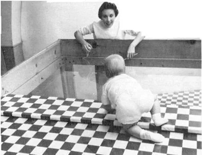 将婴儿放在"视觉悬崖",婴儿会直接爬过去吗?结果出乎你的意料