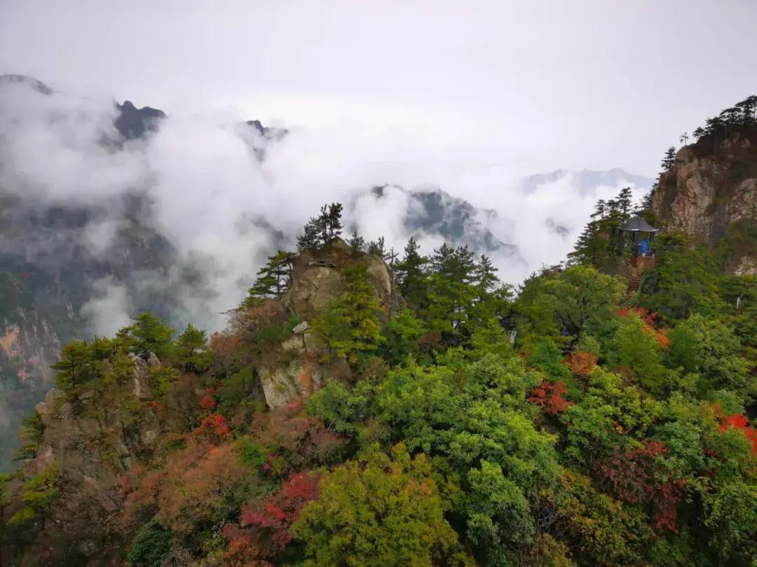 西峡老界岭国庆假期遇上瑞雪这里才是你最完美的开启模式