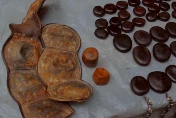 这种"巨型豌豆"被称为"豆中之王",长达两米,豆子可做饰品