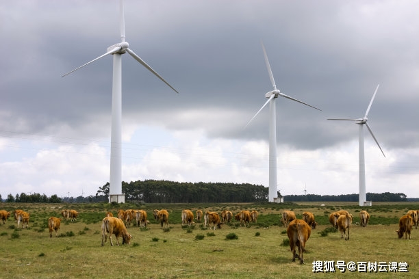 没多久,孝武帝去世,由于王殉文笔出众,朝廷要发出的哀策,讣告和孝武帝