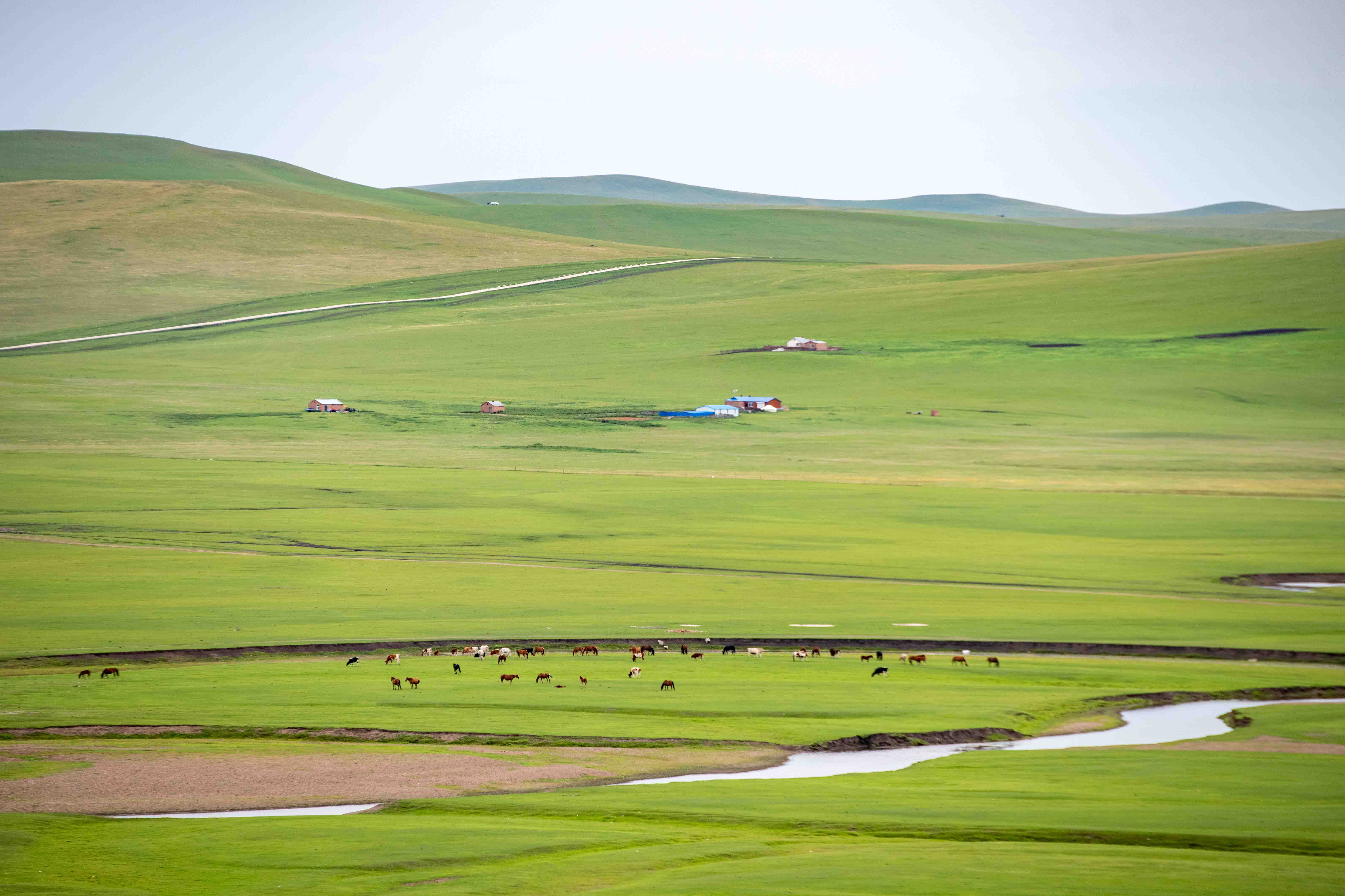 呼伦贝尔此宝藏景点一定不能错过,老舍来过都赞美为天下第一曲水_莫日