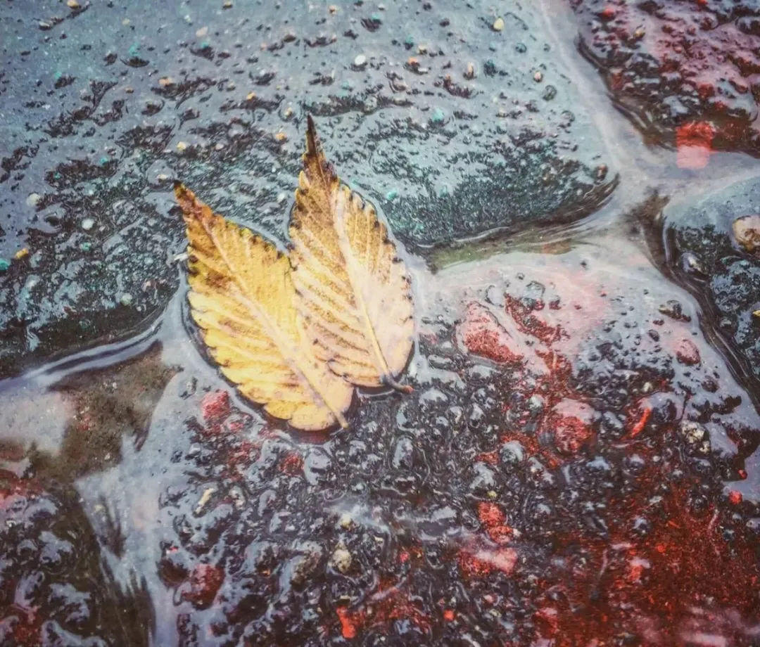 近期西安多陰雨天氣.