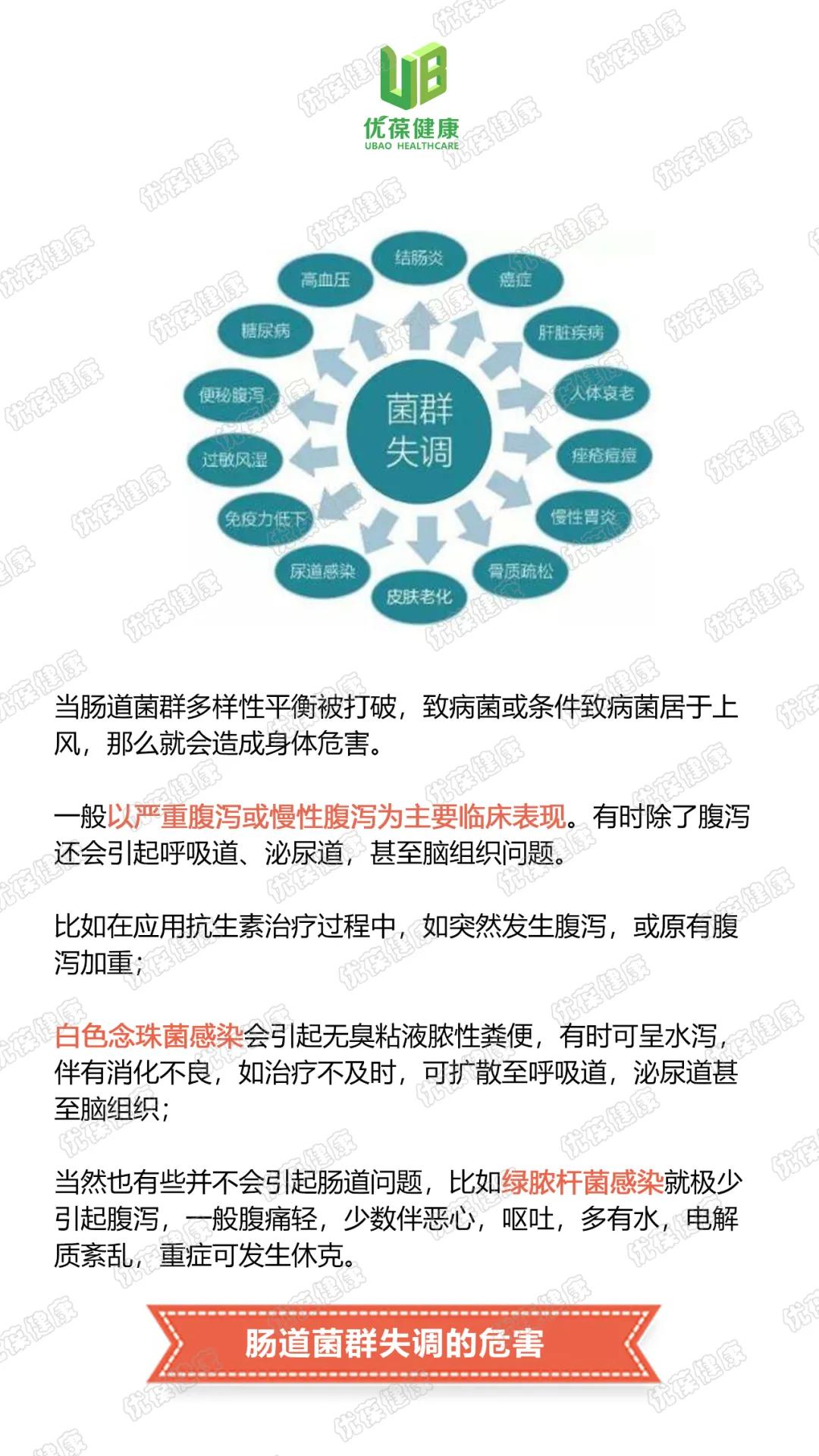 个性特质图说图解肠道菌群多样性