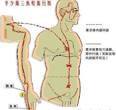 三焦經不通的人,急躁,心煩心亂,2個方法,理通三焦_身體