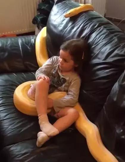 黄金蟒缠住小女孩张开血盆大口,猜中了开头猜不中结局