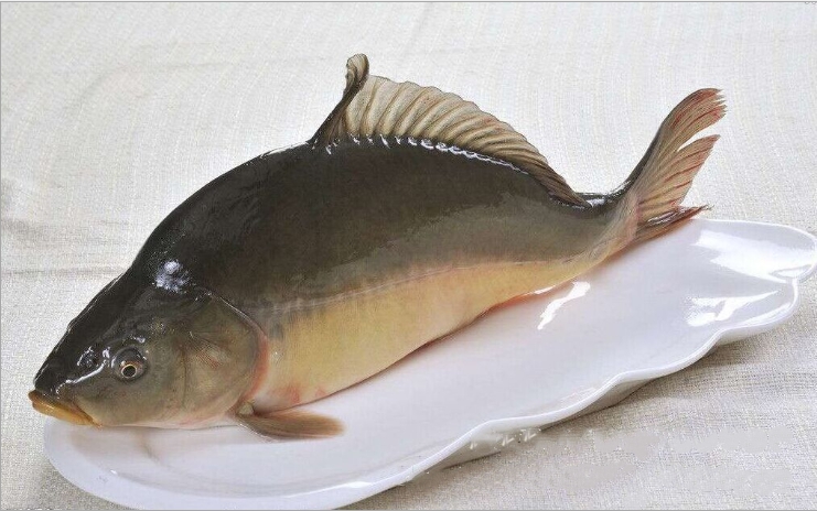 裸斑鱼怎么做好吃裸斑鱼最好吃的做法推荐