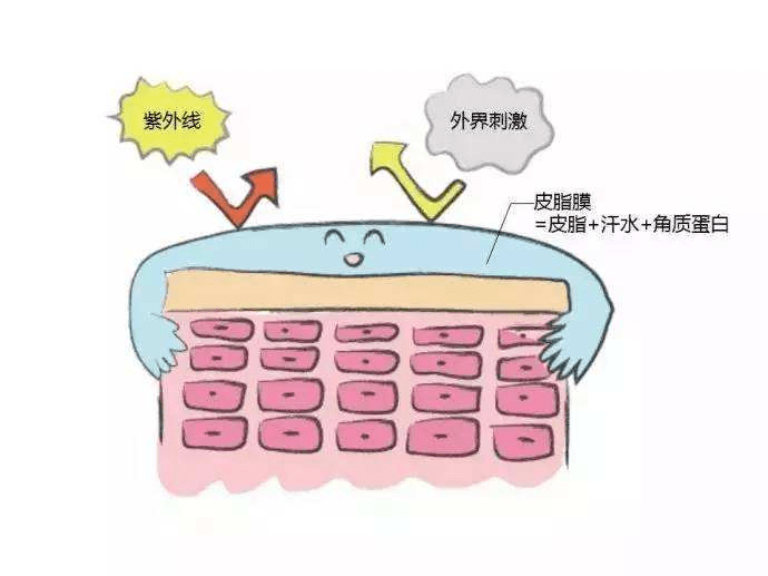 「水油平衡」是个伪概念