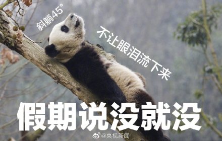 2020年的假期已经过完了!