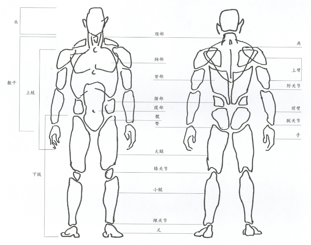 高分干货丨速写人物之衣褶穿插的表现方法