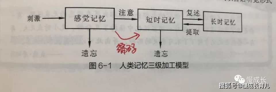 其实 记忆就是 对各种输入的信息进行编码,存储和再提取的过程.