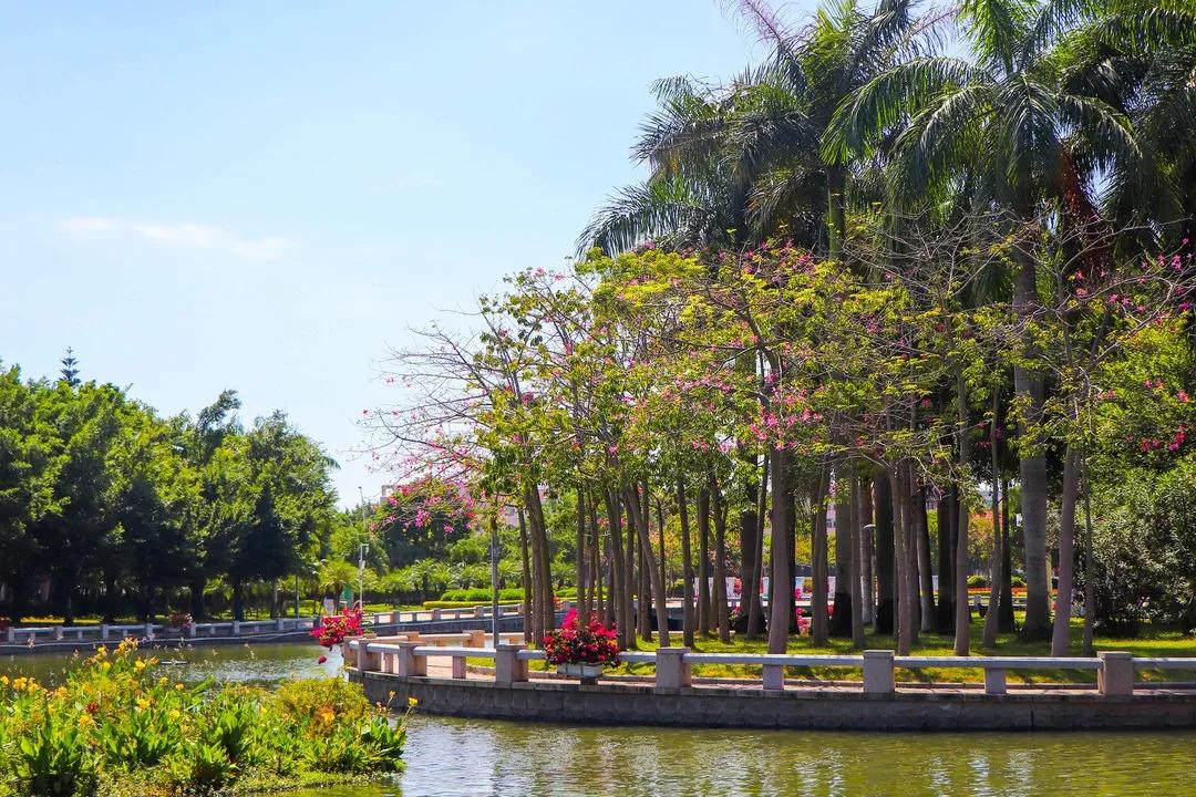 这么美美哒粉色走过路过记得抬头看看哦~来源:汕头市城管局