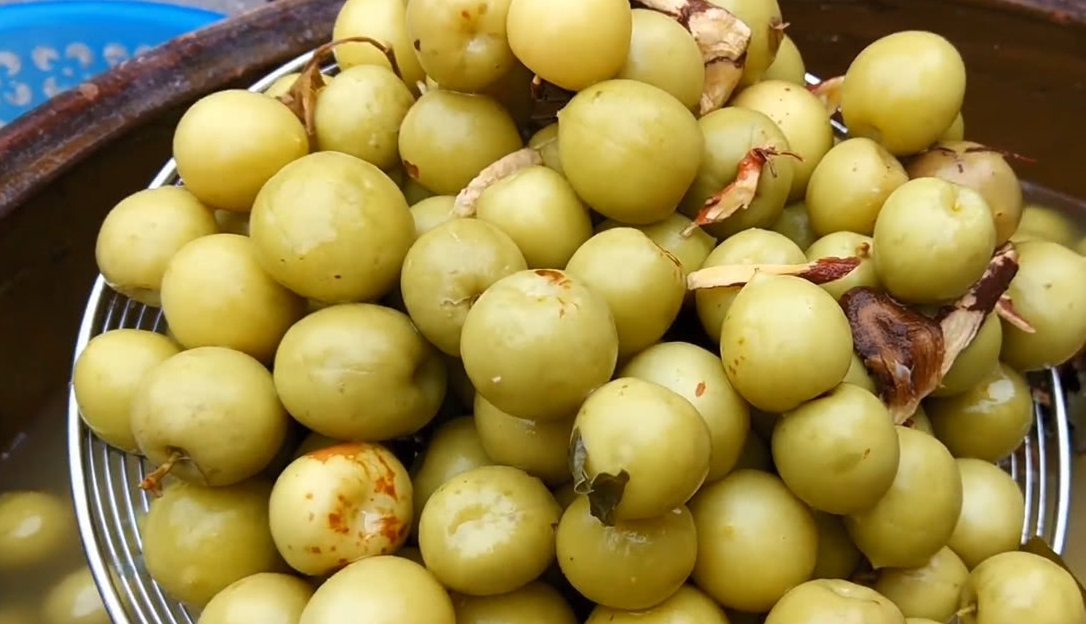 大缸秘制酸梅,捞起来晒干后就可以直接食用,最适合炎热夏天吃_青梅