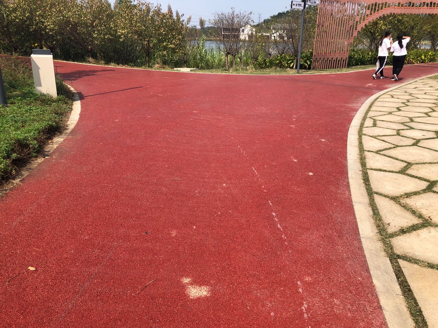 公园透水混凝土路面
