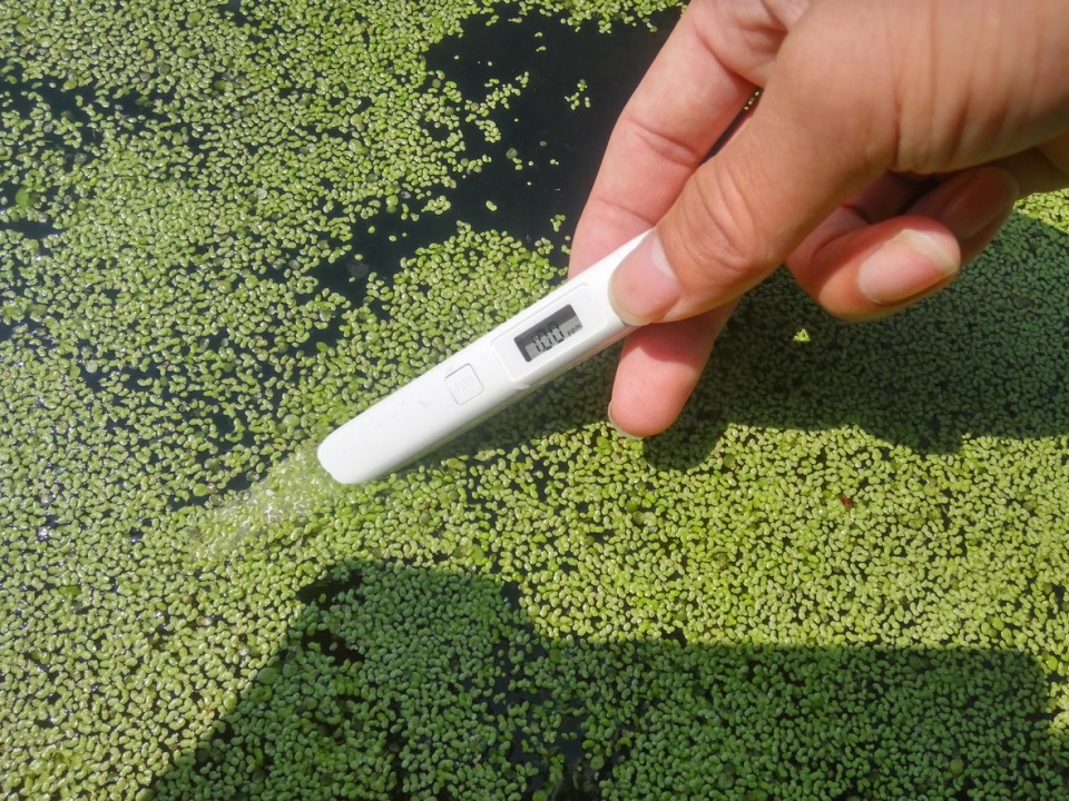 今天的人们泡茶择水学问:悬浮物,溶解的固体,硬度,碱度,ph值_手机搜狐