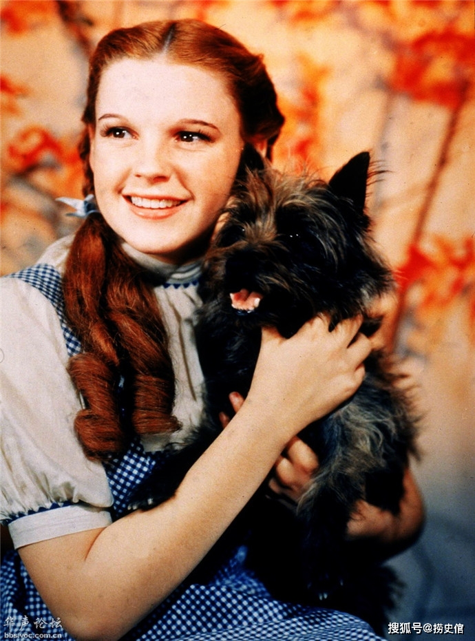 朱迪·加蘭(judy garland,原名弗朗西斯·埃塞爾·古姆;1922年6月10日